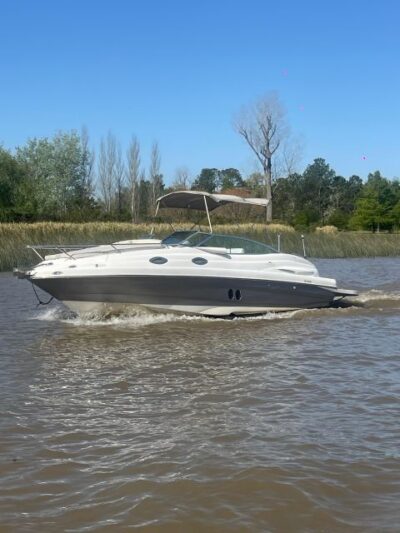 Best of Delta Buenos Aires Private Boat Tour: Enjoy More - Your Own Pace on a Private Boat Through the Buenos Aires Delta
