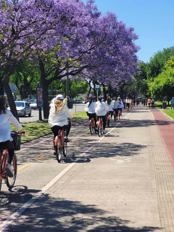 Bike Tour: Buenos Aires to the North - Pilar Church and the Malvinas cenotaph: where the ride turns reflective