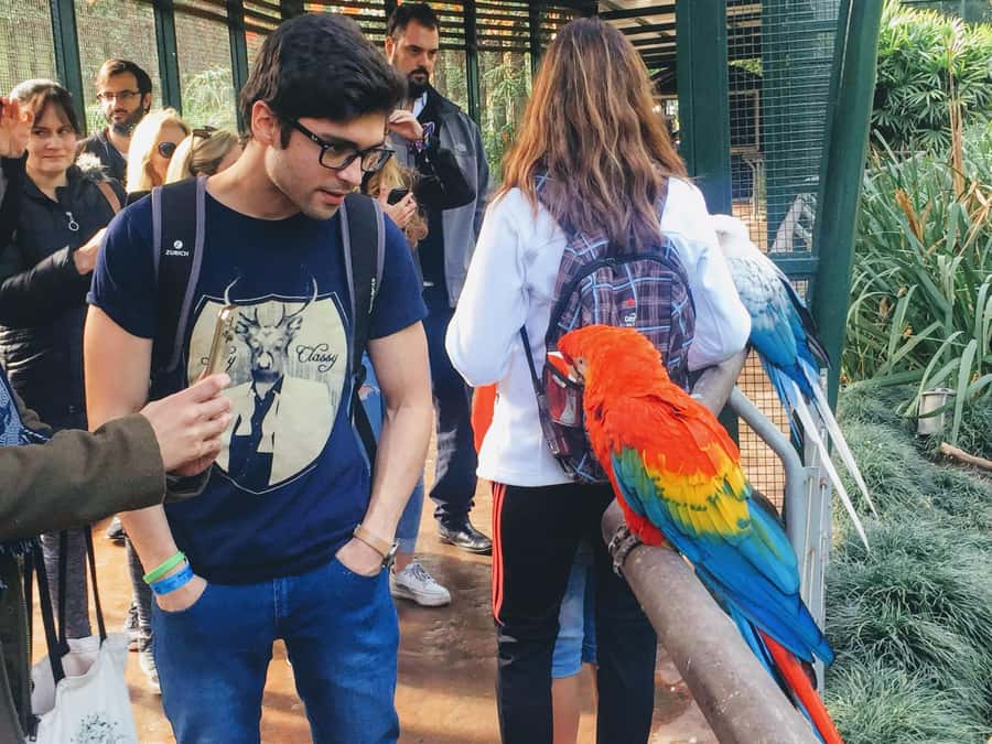 Buenos Aires: Bioparque Temaiken with Transfers - Key highlights you’ll actually feel during the day