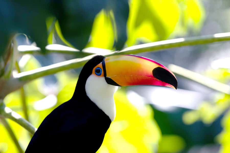 Buenos Aires: Bioparque Temaiken with Transfers - Aquarium + 360º Cinema: The Best Time Block for Maximum Wow