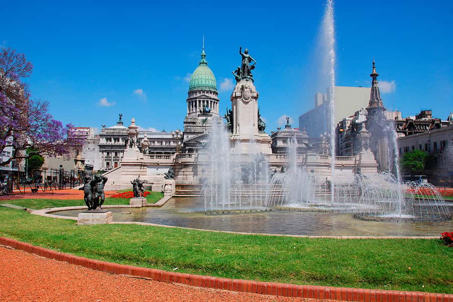 Buenos Aires City Tour with Luxury Lunch - Lunch at the end: how the meal fits the sightseeing rhythm