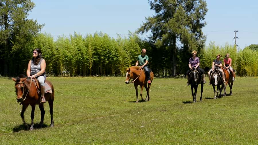 Buenos Aires: Don Silvano Ranch Gaucho Day Trip - A Gaucho Day Trip That Feels Like More Than a Show