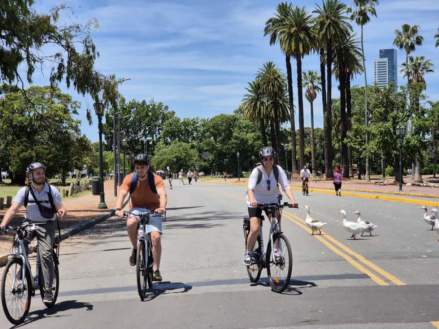 Buenos Aires: E-Bike Tour in the North Circuit of Buenos Aires - Key Highlights You’ll Actually Care About
