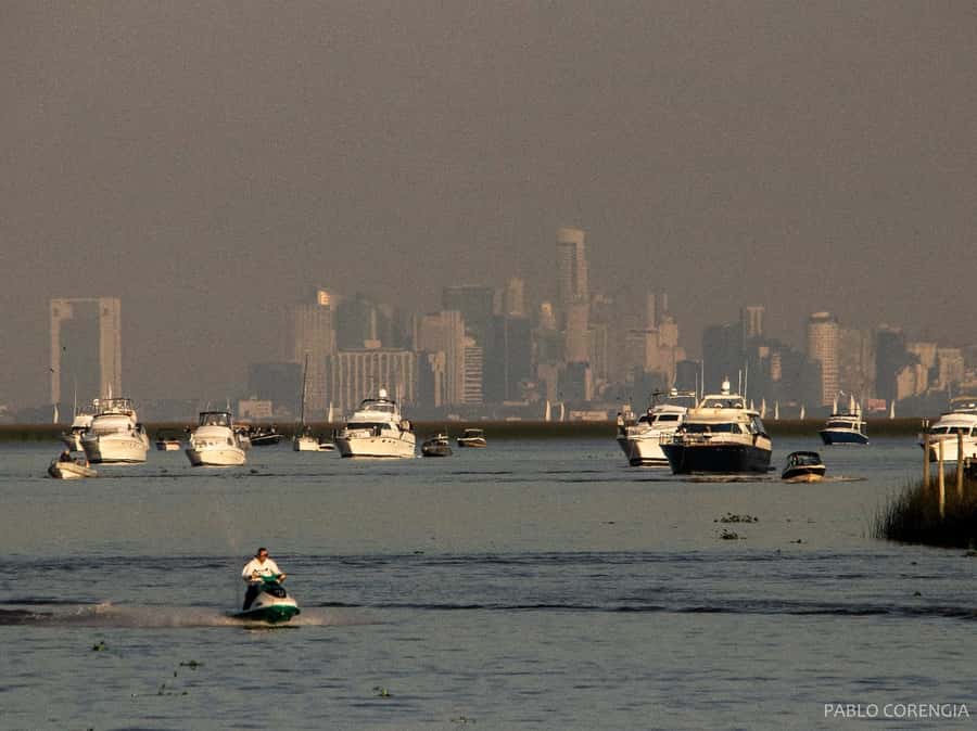 Buenos Aires: Premium Delta Navigation round trip - The Return at 4:00 p.m.: Timing That Keeps the Day Smooth