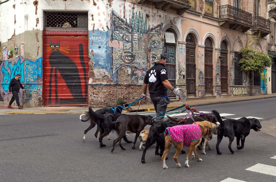 Buenos Aires: Private Photo Tour for Ammateur Photographers - Gear checklist for cobblestones and 24–120mm framing