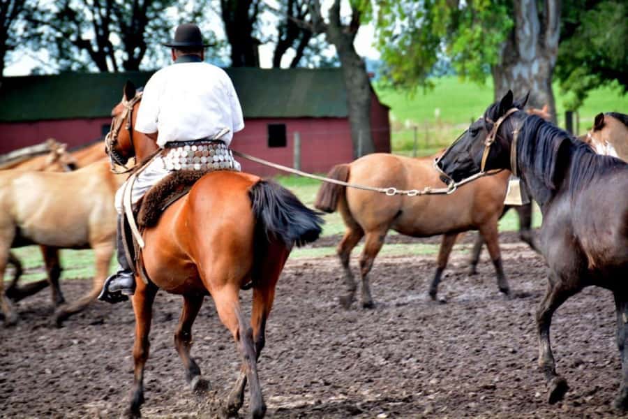 Buenos Aires: Santa Susana Ranch Day Tour, BBQ & Shows - FAQ
