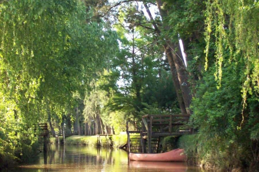 Buenos Aires: Ticket - Classic Delta of Tigre Boat Tour - Key highlights worth targeting