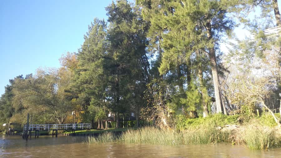 Buenos Aires: Ticket - Classic Delta of Tigre Boat Tour - Deck vs indoor cabin: hearing Spanish-then-English commentary