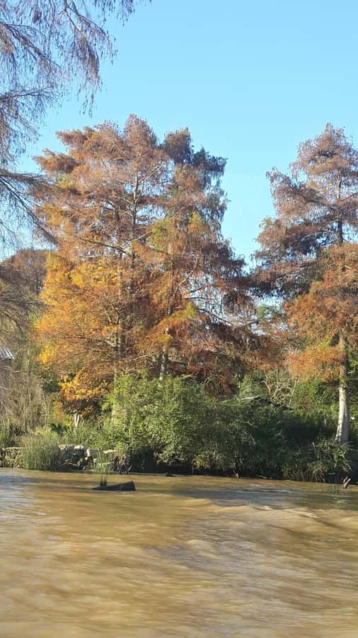 Buenos Aires: Ticket - Classic Delta of Tigre Boat Tour - Timing tips: choosing 10:30 vs 4:00 departures