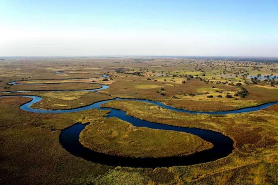 Buenos Aires: Tigre Delta Premium Boat Tour - Practical Tips That Make This Day Go Smoother