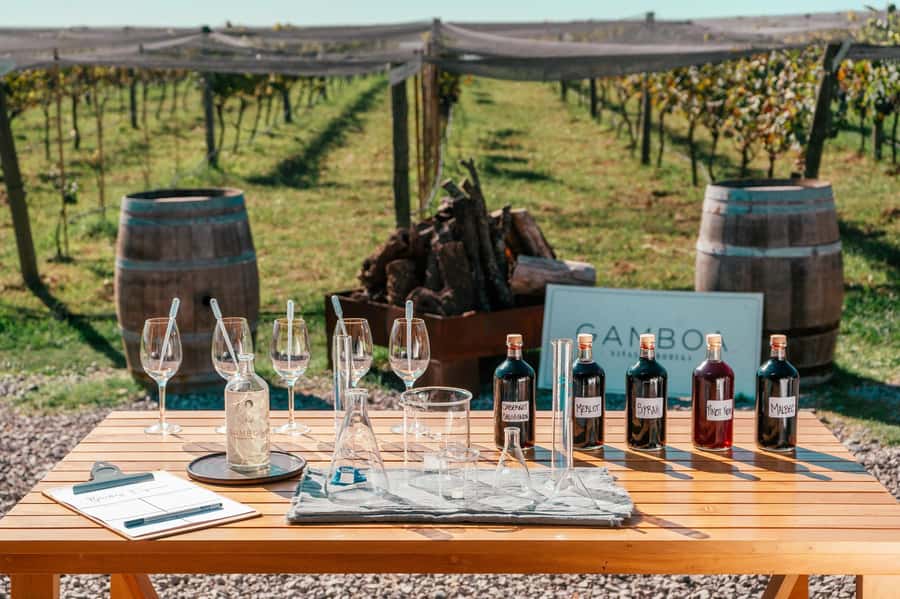 Buenos Aires: Wine Tasting & Lunch at Gamboa Vineyard - Key Things That Make Gamboa Worth Your Day