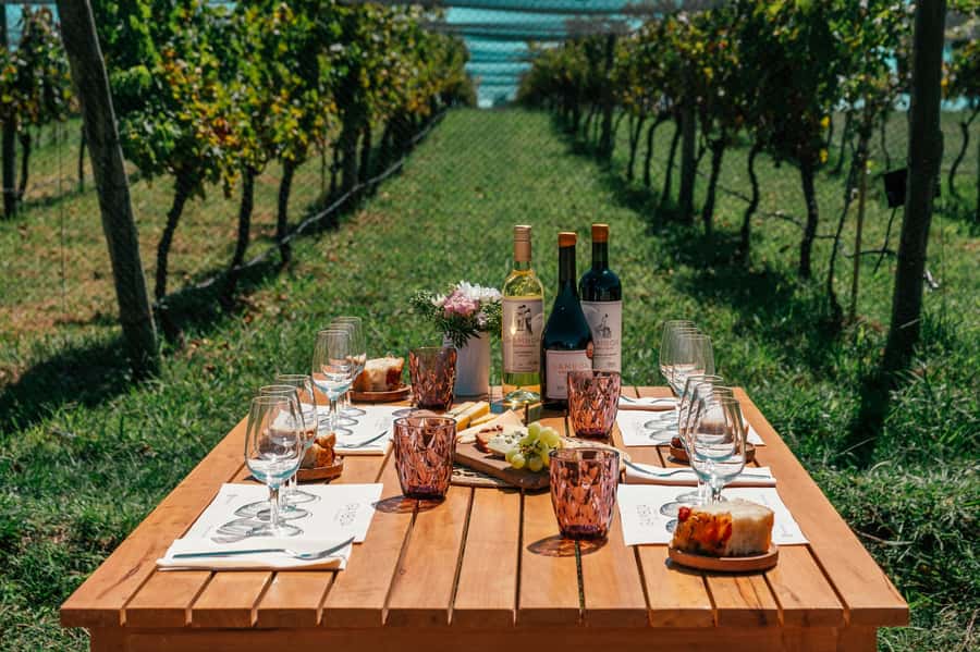 Buenos Aires: Wine Tasting & Lunch at Gamboa Vineyard - A Boutique Escape 65km From the City