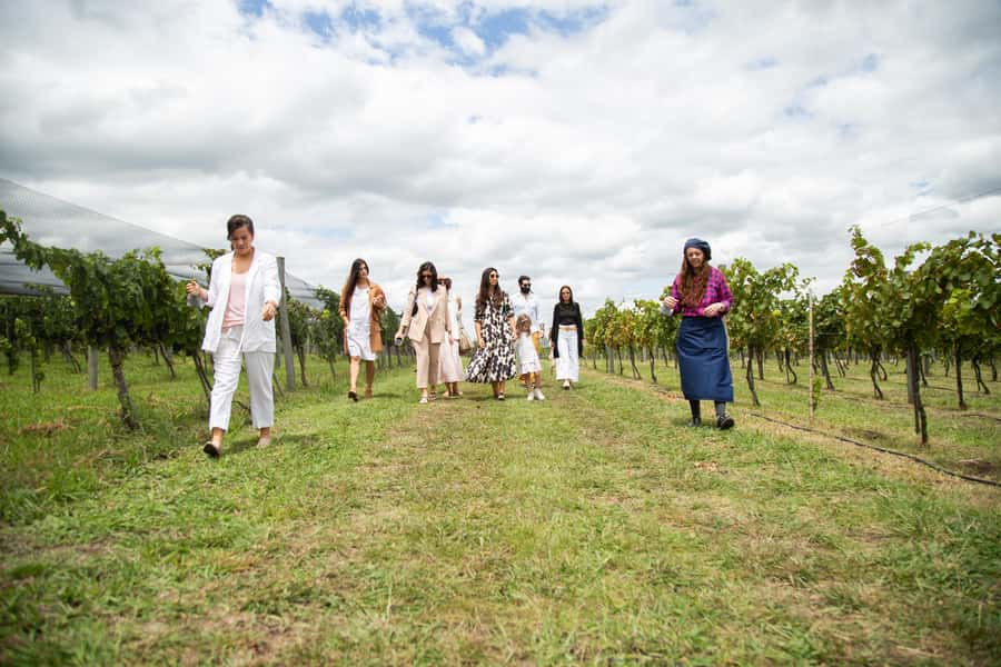 Buenos Aires: Wine Tasting & Lunch at Gamboa Vineyard - Who This Tour Fits Best
