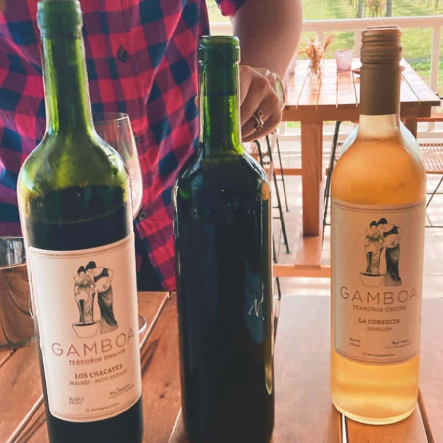 Enjoy a Rural Experience in a Vineyard near Buenos Aires - Key highlights worth getting excited about