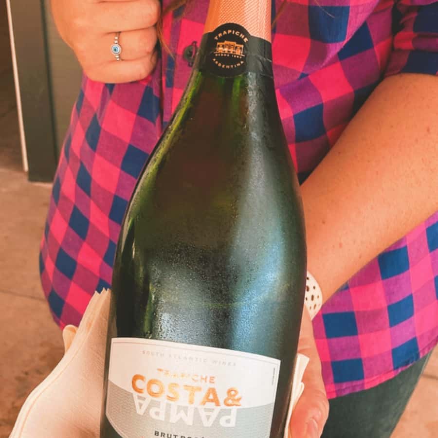 Enjoy a Rural Experience in a Vineyard near Buenos Aires - Practical tips to make the day better
