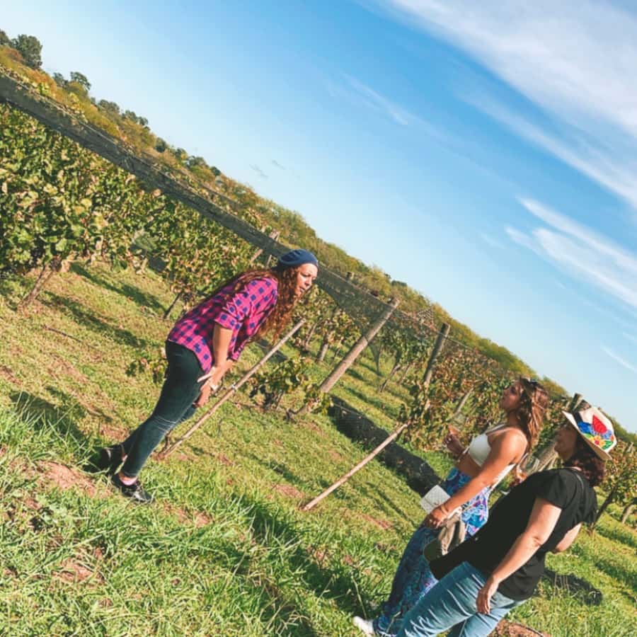 Enjoy a Rural Experience in a Vineyard near Buenos Aires - The vineyard tour: what you learn on the estate walk