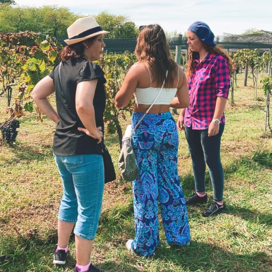 Enjoy a Rural Experience in a Vineyard near Buenos Aires - Timing and pacing: what your day looks like hour by hour