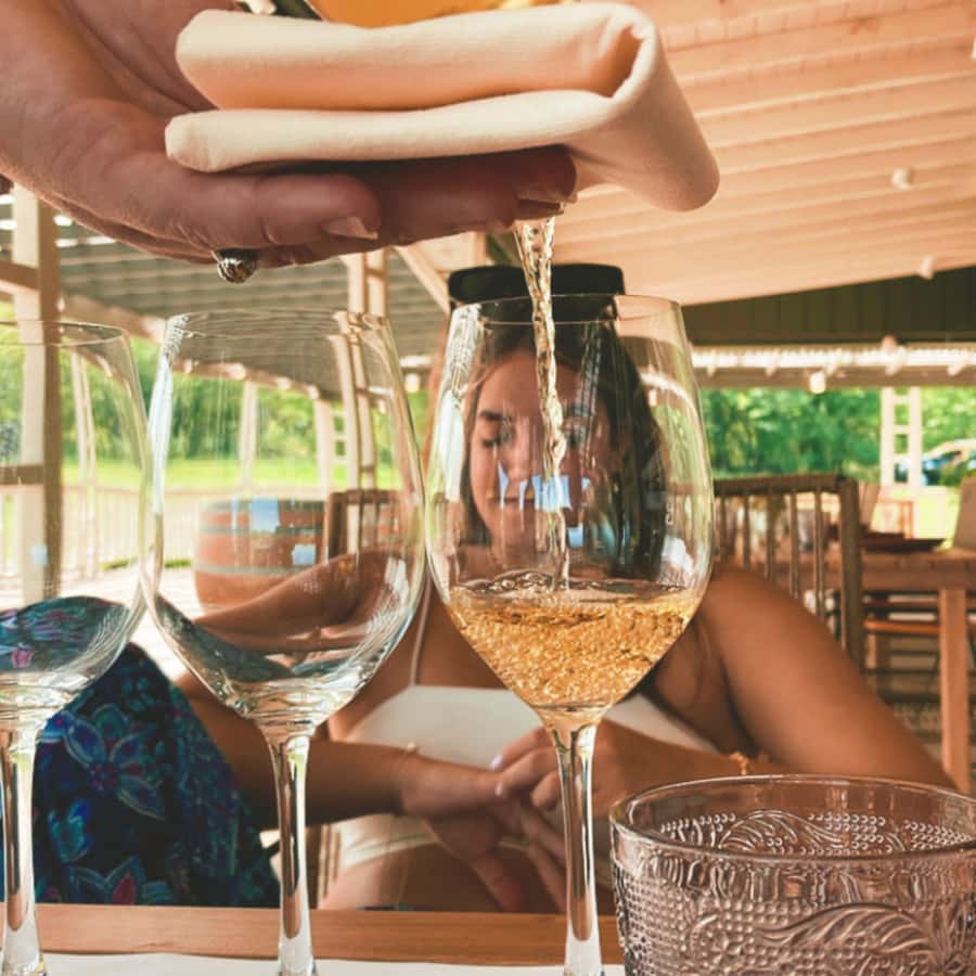 Enjoy a Rural Experience in a Vineyard near Buenos Aires - Price and value: what you’re paying for at $264 per person