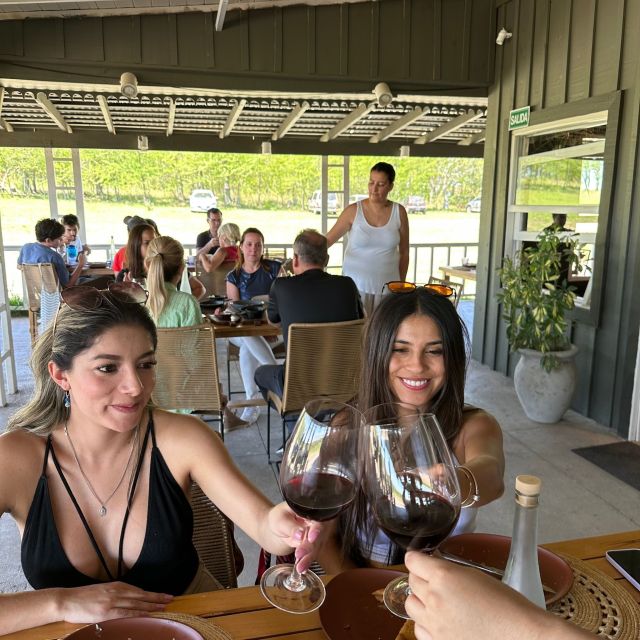 Enjoy a Rural Experience in a Vineyard near Buenos Aires - Who this tour suits best (and who should think twice)