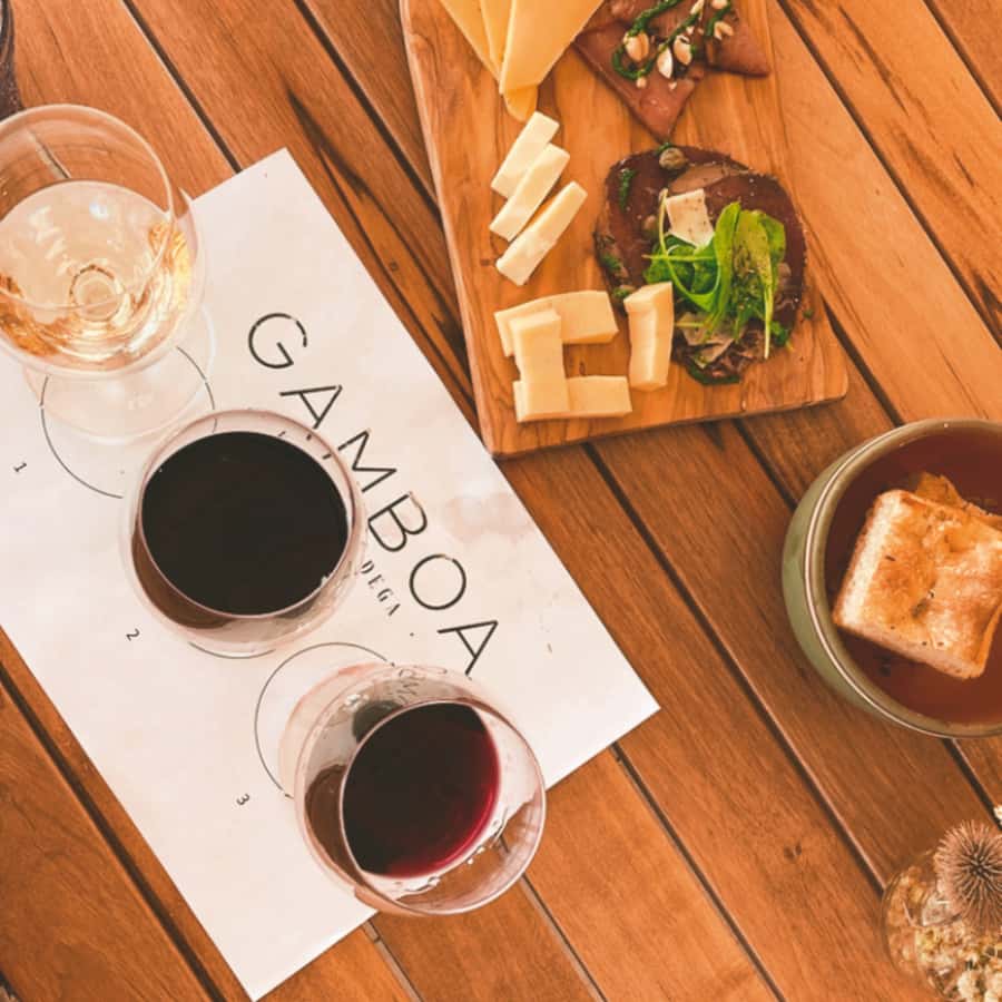Enjoy a Rural Experience in a Vineyard near Buenos Aires - Getting there from Buenos Aires: private pickup, timed and simple