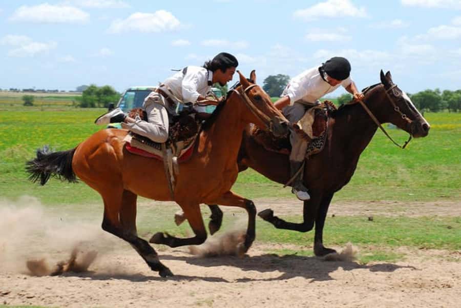 From Buenos Aires: Estancia Don Silvano Tour with Lunch. - Key highlights at a glance