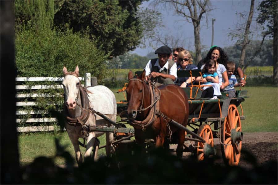 From Buenos Aires: Estancia Don Silvano Tour with Lunch. - From Silvano’s story to today’s estancia: why the place feels personal