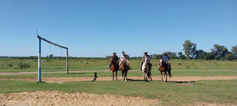 From Buenos Aires: Estancia Don Silvano Tour with Lunch. - Who should book this estancia tour (and who might want another option)