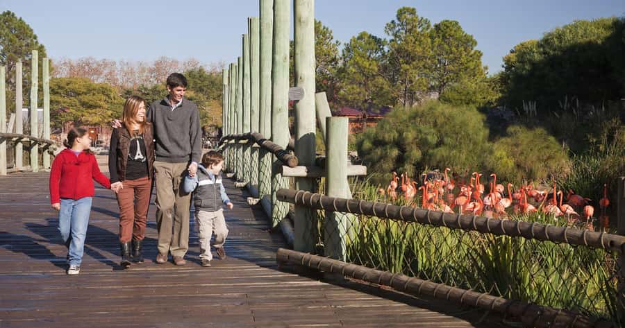 From Buenos Aires: Full-Day Temaiken Eco Park - Key highlights to know before you go