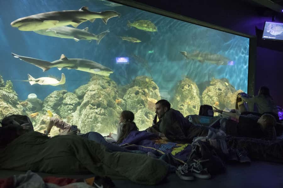 From Buenos Aires: Full-Day Temaiken Eco Park - FAQ