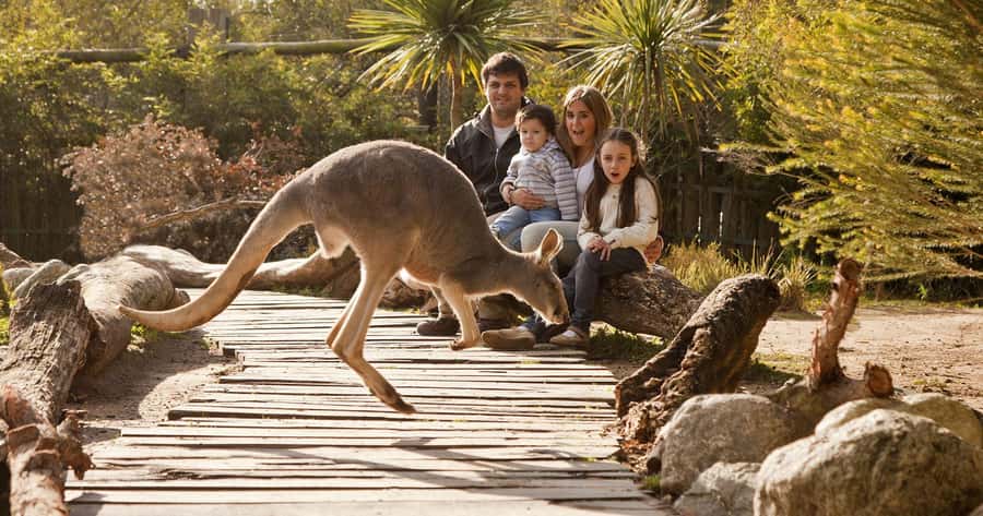 From Buenos Aires: Full-Day Temaiken Eco Park - From Av. Corrientes to Escobar: the round-trip flow