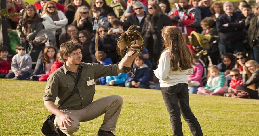 From Buenos Aires: Full-Day Temaiken Eco Park - Inside the park: how to use your 6 hours well