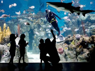From Buenos Aires: Full-Day Temaiken Eco Park - Temaiken Bioparque: what makes it feel different from a typical zoo