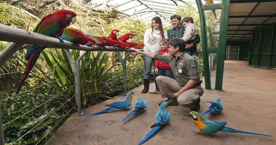 From Buenos Aires: Full-Day Temaiken Eco Park - The transportation and bilingual guide question (important for your day)