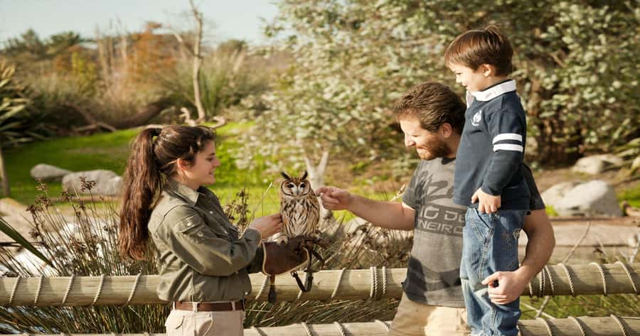 From Buenos Aires: Full-Day Temaiken Eco Park - Should you book the Buenos Aires Full-Day Temaiken Eco Park trip?