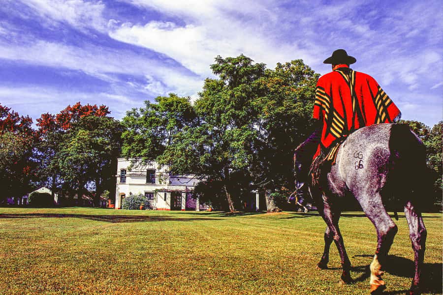 From Buenos Aires: Gaucho and Ranch Day Tour - San Antonio de Areco: a guided taste of an old gaucho town