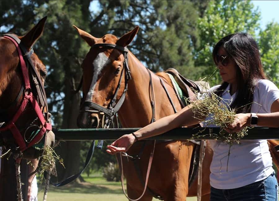 From Buenos Aires: Polo Match, Lesson, and BBQ Day-Trip - Leaving Buenos Aires for the estancia: 80 km of country air