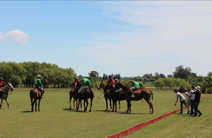 From Buenos Aires: Polo Match, Lesson, and BBQ Day-Trip - Arrival with empanadas and premium wine before the match