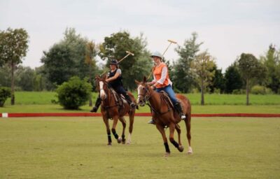 From Buenos Aires: Polo Match, Lesson, and BBQ Day-Trip - Getting the rules fast so the pro match makes sense