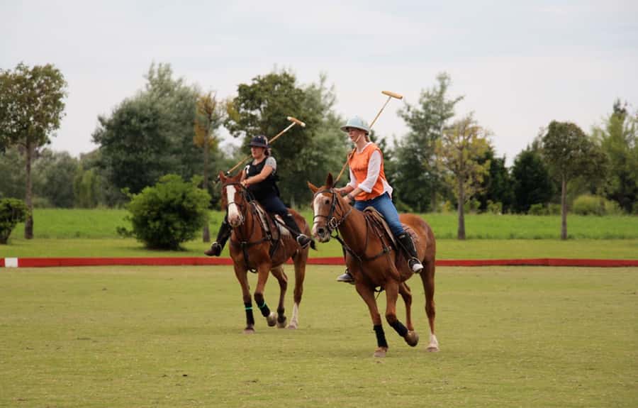 From Buenos Aires: Polo Match, Lesson, and BBQ Day-Trip - Getting the rules fast so the pro match makes sense