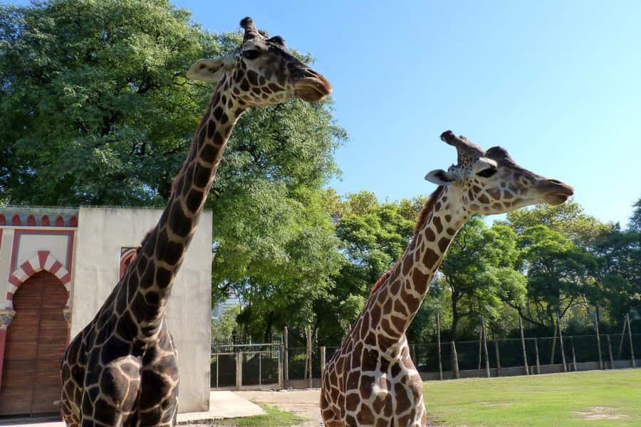From Buenos Aires: Temaiken Zoo Tour with Ticket Included - Getting Out of Buenos Aires: the trip to Temaikén Biopark
