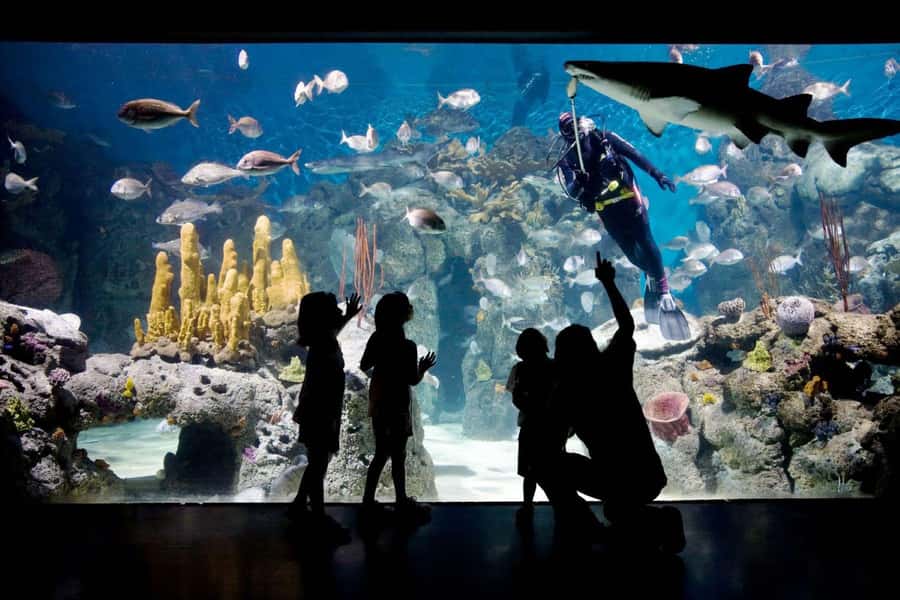 From Buenos Aires: Temaiken Zoo Tour with Ticket Included - Price and value: what $135 buys you in Buenos Aires