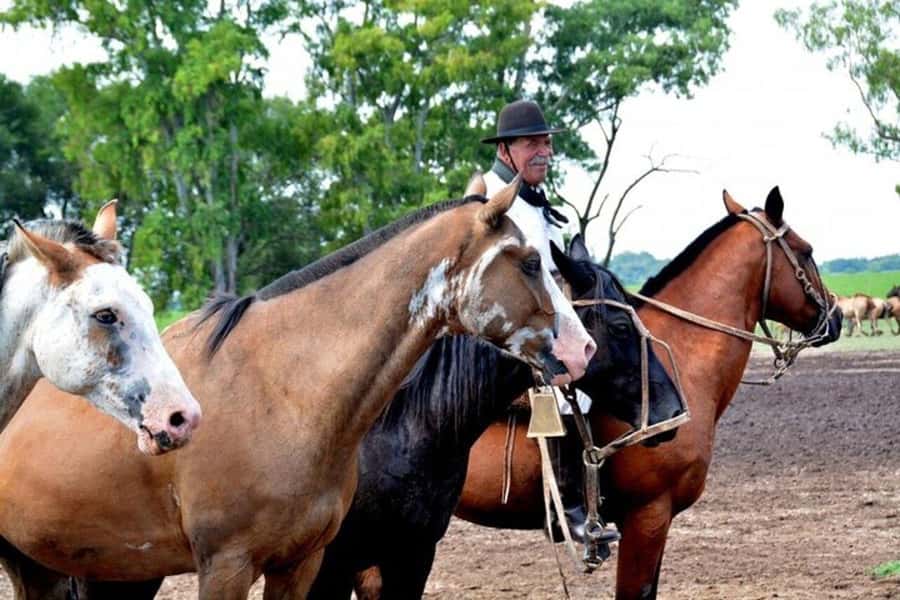 Full-Day at Santa Susana Ranch with BBQ, Drinks and Show - Price and Value: Is $595 Worth It?