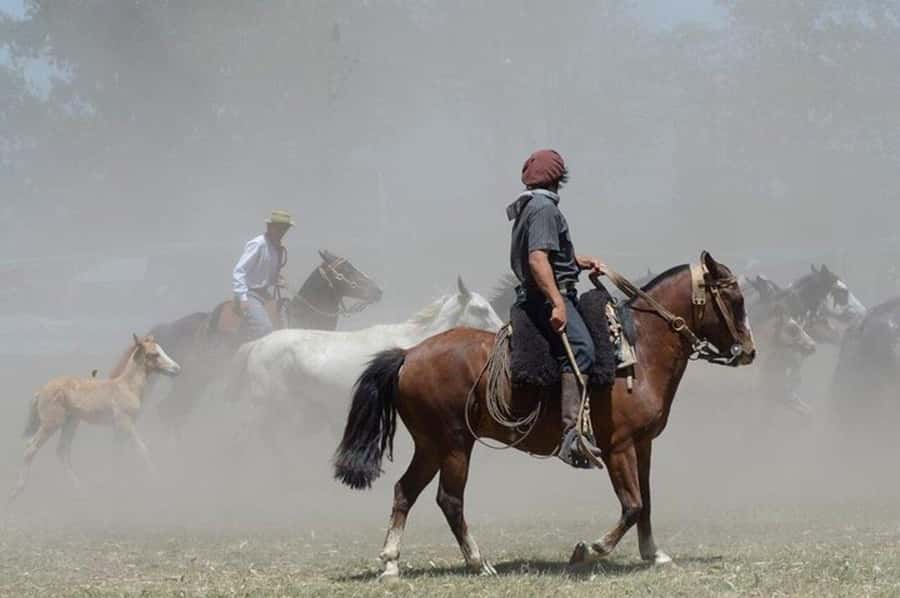 Full-Day at Santa Susana Ranch with BBQ, Drinks and Show - Who Should Book This Ranch Day, and Who Should Skip