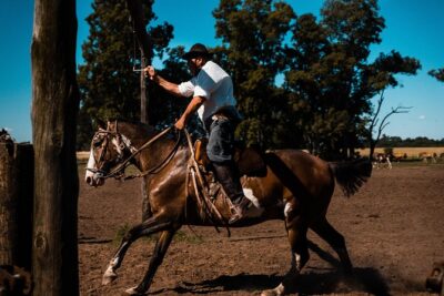 Gaucho Day Trip from Buenos Aires: Santa Susana Ranch - Horse-Drawn Carriage or Horseback: What You Really Get