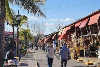 Half Day Tour to the Tigre Delta with Navigation - Getting to Tigre: air-conditioned van and a small group
