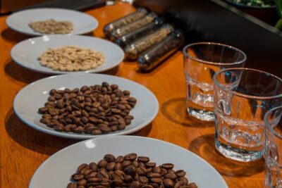 N1 Coffee Tasting Experience in Buenos Aires - Specialty Coffee, from seed to cup, in plain language