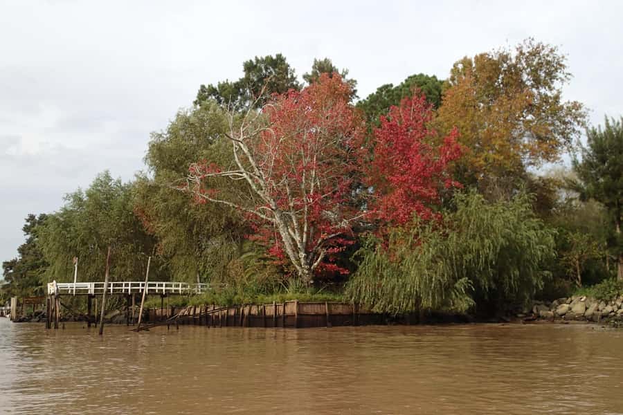 Navigation in Delta of Tigre - Exclusive semi private tour - Price and Value: What $135 Gets You in Real Time