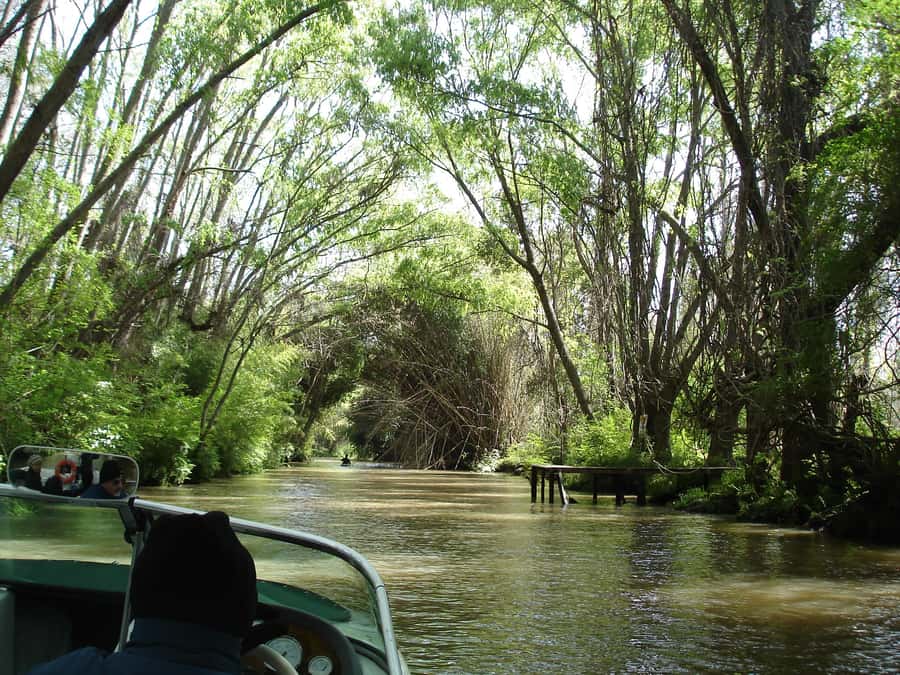 Navigation in Delta of Tigre - Exclusive semi private tour - The Route Timing That Helps You Feel Like You Were There