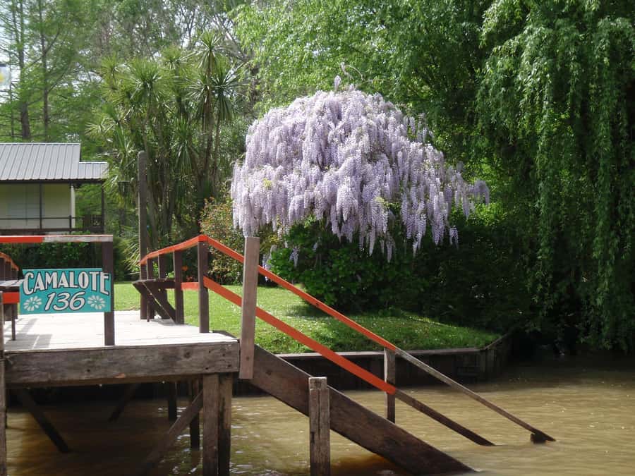 Navigation in Delta of Tigre - Exclusive semi private tour - Wildlife, Plants, and River Life (Not Just Pretty Views)