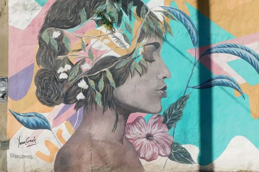 Premium Argentinian Wine and Malbec Tasting & Urban Art Tour - Key things I’d plan around